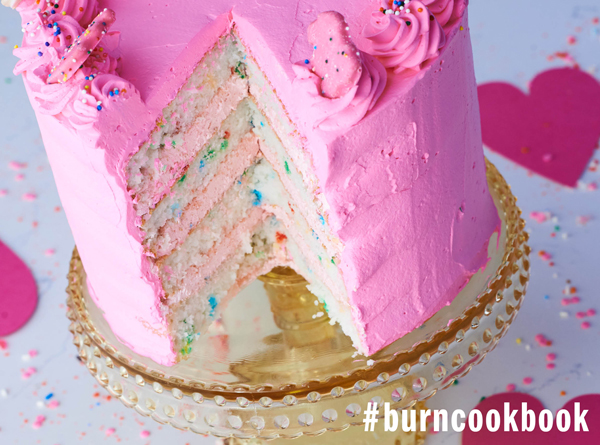 Image result for The Burn Cookbook