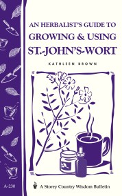 An Herbalist’s Guide to Growing & Using St.-John’s-Wort